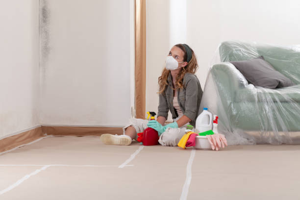 Reliable Crawl Space Mold Removal contractor in Broomall, PA by WQB Mold Removal