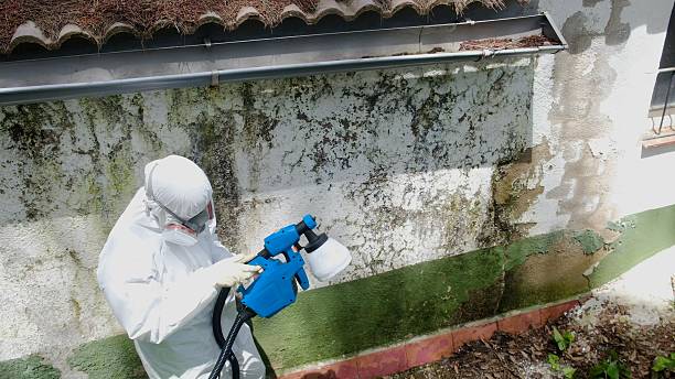 Top rated local Crawl Space Mold Removal specialists in Broomall, PA